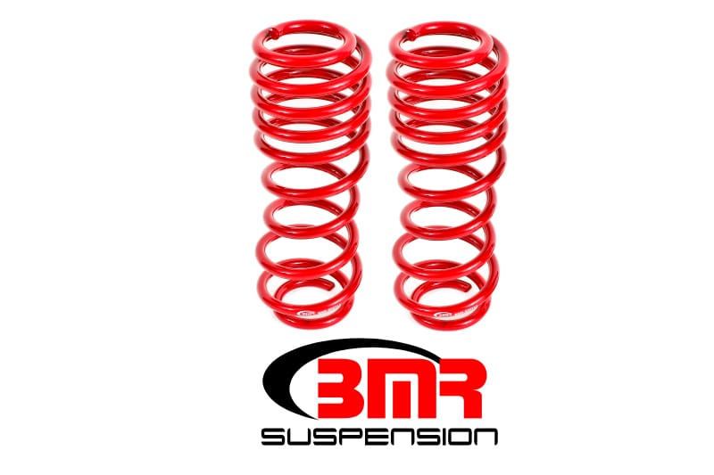 BMR Suspension — Lowering Springs, Rear, Handling, GT500