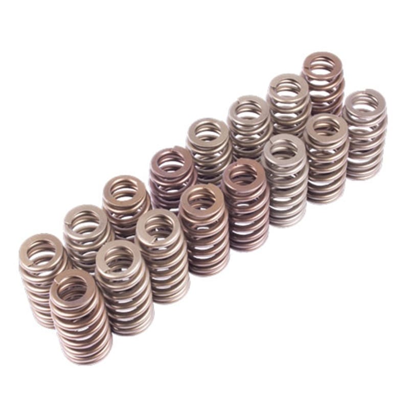 Ford Racing — Boss 302R Valve Spring Kit
Valve Spring Kit