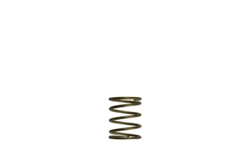 Turbosmart — Gen-V WG45/50 3psi Orange Inner Spring