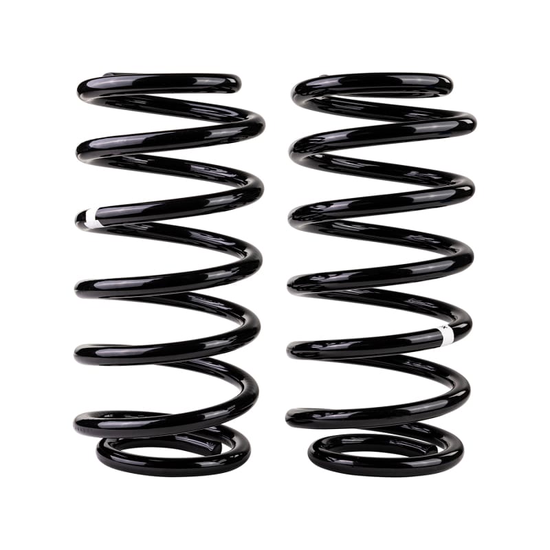 Old Man Emu — Rear Coil Spring Set