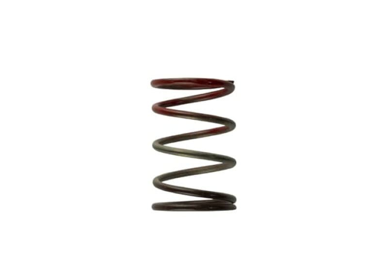 Turbosmart — Turbosmart WG40 11PSI Middle Spring Brown/Red
Wastegate Spring
