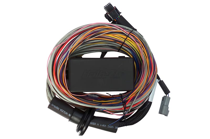 Haltech — Haltech Elite 750 Premium Universal Wire-In Harness - 2.5m (8ft)
Universal Harness