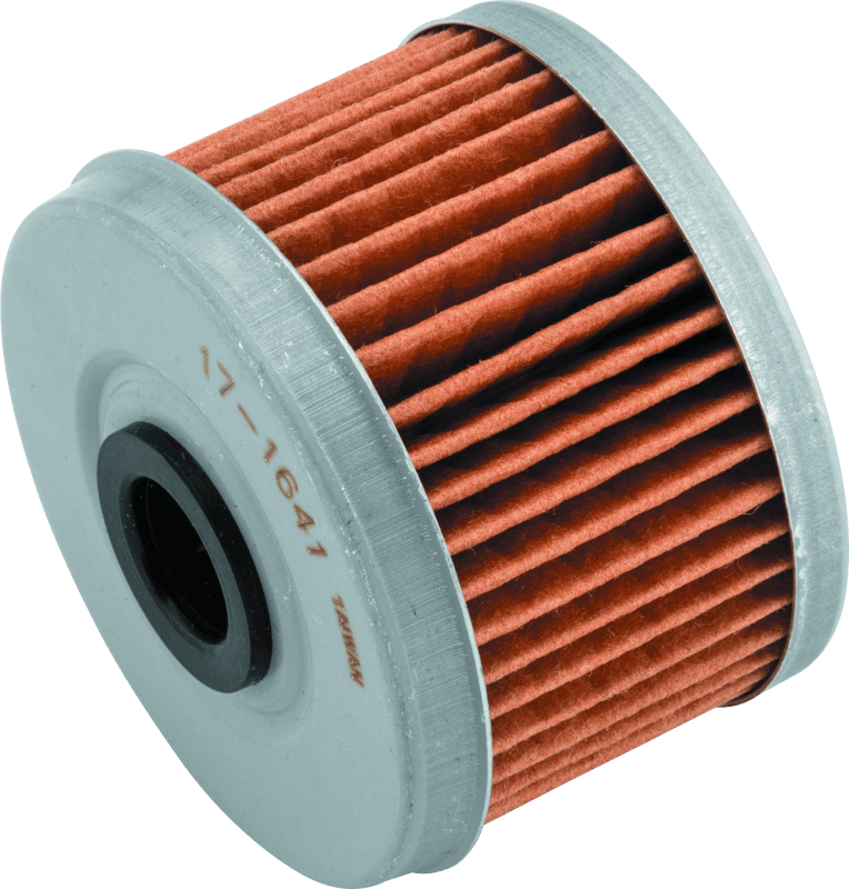 BikeMaster — BikeMaster BM-113 Oil Filter - Black