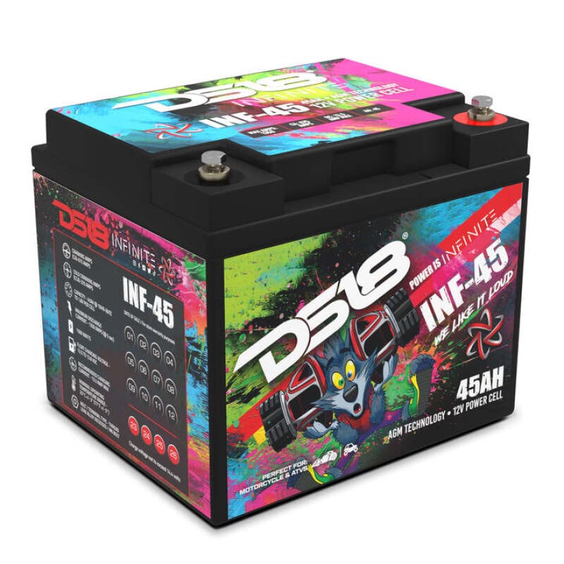 DS18 — DS18 1500 Watts 45 AH Infinite AGM Power Cell Battery