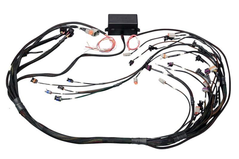 Haltech — Haltech GM GEN IV (LS2/LS3) DBW Ready Elite 2500 Terminated Harness w/EV6 Injector Connectors
Terminated Harness