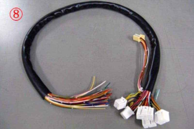 HKS — HKS TP5 - 8F - CON V Harness