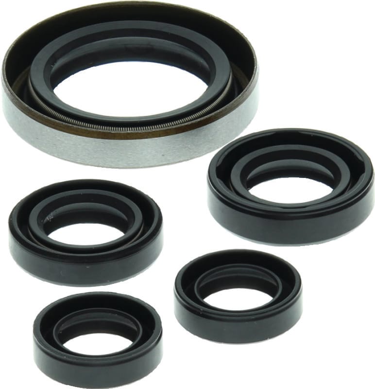 QuadBoss — Oil Seal Set