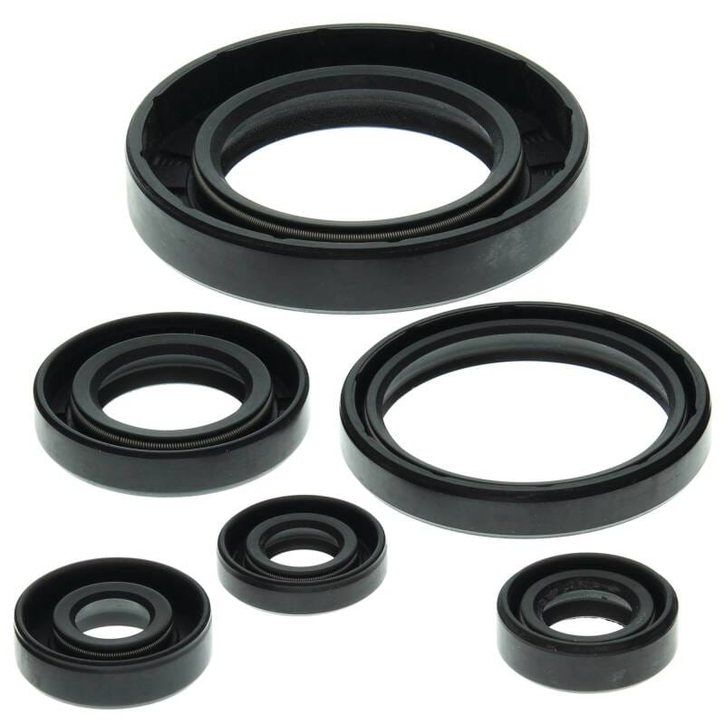 Vertex Pistons — Vertex Gaskets 99-05 Can-Am Traxter 500 Oil Seal Kit