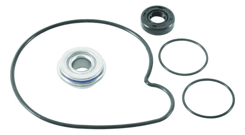 QuadBoss — QuadBoss 16-19 Polaris ACE 900 SP/XC Water Pump Rebuild Kit