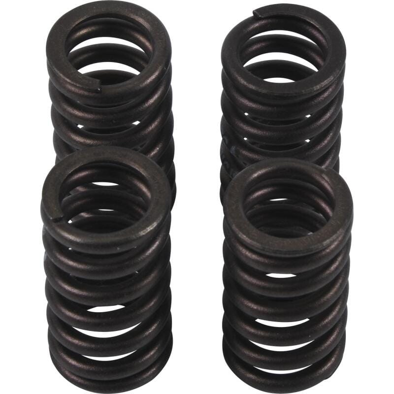 Hot Cams — Hot Cams Valve Spring Kit, ea, 1