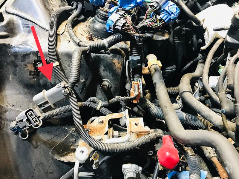 Rywire — Rywire 92-95 Honda Prelude AEM Infinity Chassis Adapter (Must Send Rywire 2-Pin Core Connector)