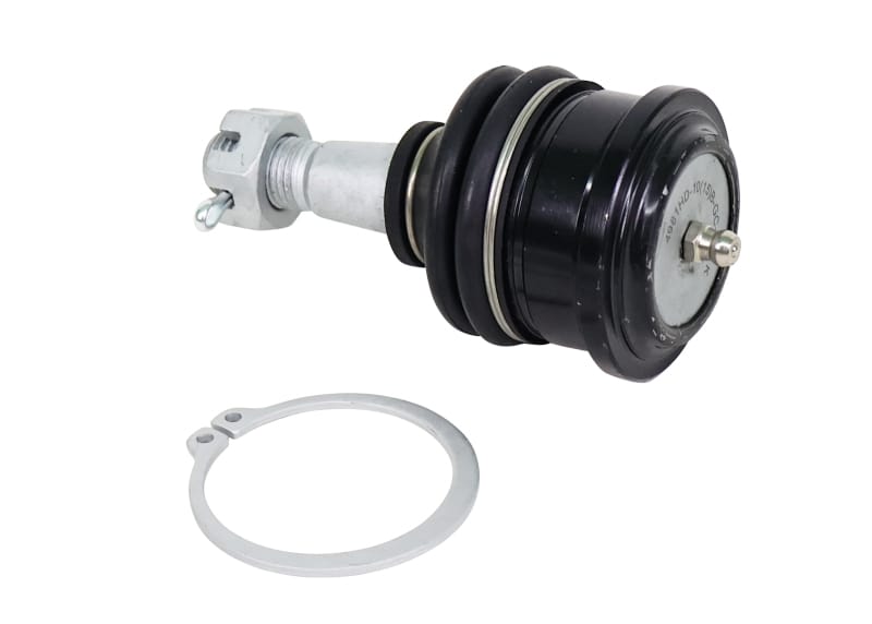 Whiteline — Whiteline 05-21 Nissan Frontier Fixed Offset UCA Replacement Ball Joint Kit