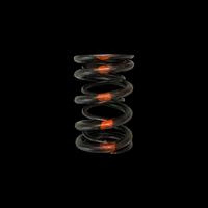 Brian Crower — Brian Crower Honda/Acura B18A/B18B/B20B - Single Valve Spring