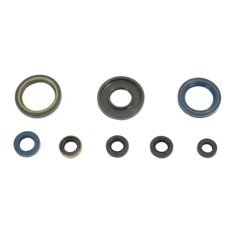 Athena — Athena 84-89 KTM 250 GS-MX Engine Oil Seal Kit