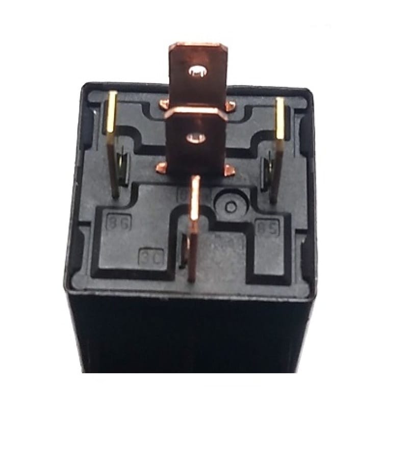 Ridetech — Ridetech 30 Amp Relay w/ Harness
Relay 30 Amp