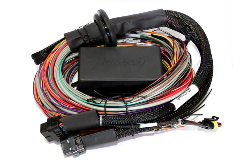 Haltech — Haltech Elite 2500/2500 T Premium Universal Wire-In Harness - 2.5m (8ft)
Universal Harness