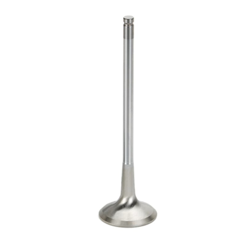 Supertech — Supertech SB Chevy 1.625x.341x5.010in Chrome Undercut Exhaust Valve - Single (Drop Ship Only)