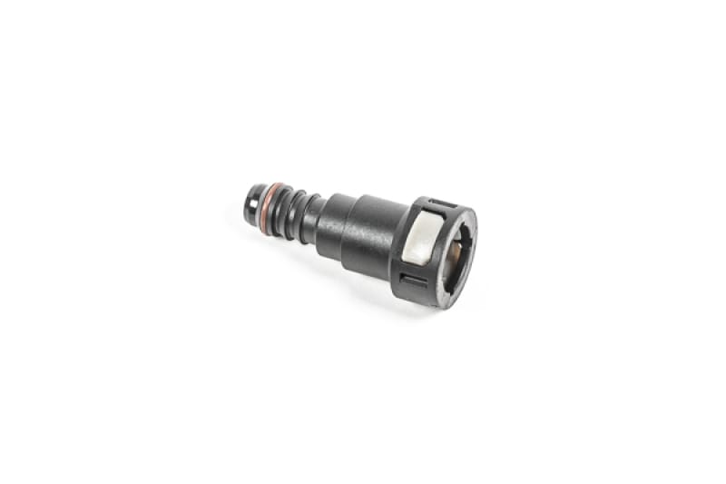 Radium Engineering — Radium Engineering 1/2in SAE Female to 1/2in Barb
FITTING