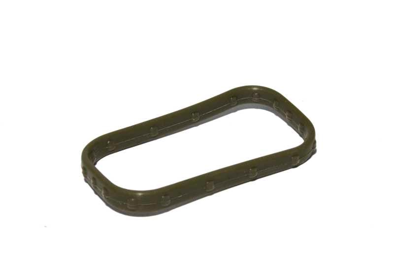 FAST — FAST Replacement Intake Port Seal
LSXRLS3PortSeal