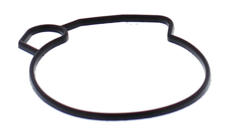 All Balls Racing — All Balls Racing 04-05 Arctic Cat 50 Y-6 Float Bowl Gasket Only