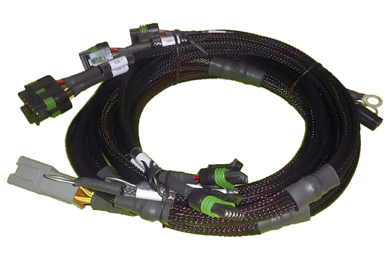Haltech — Haltech 8 Channel Individual High Output IGN-1A Inductive Coil Harness
Terminated Harness