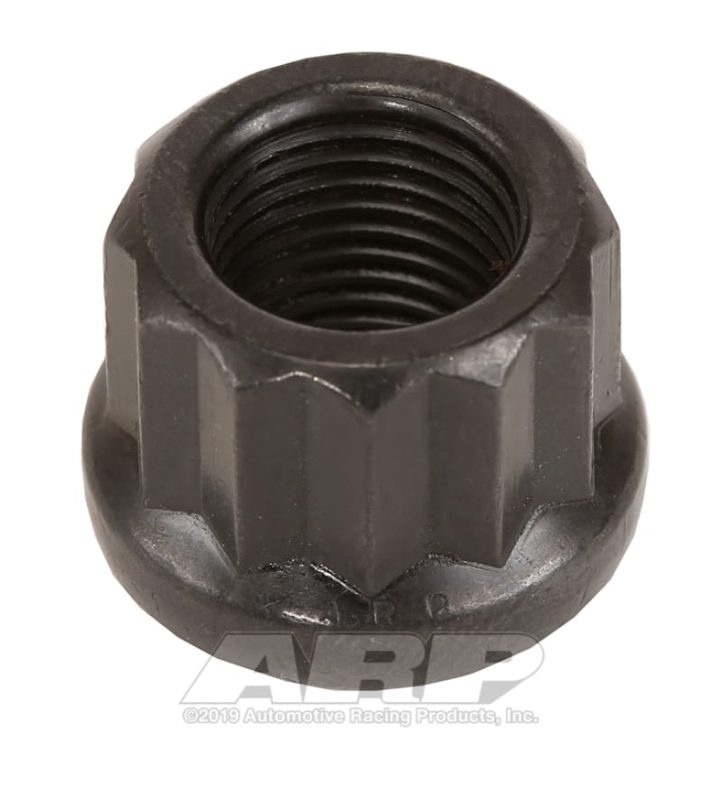 ARP — ARP 1/2-20 11/16 Socket 12pt Nut Kit