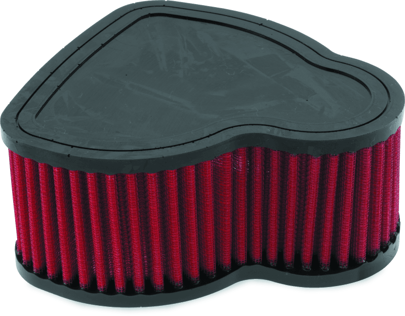 BikeMaster — BikeMaster Honda VTX1800C/F/N/R/S/T Air Filter