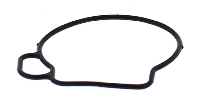 All Balls Racing — All Balls Racing 06-09 Yamaha TTR50 Float Bowl Gasket Only