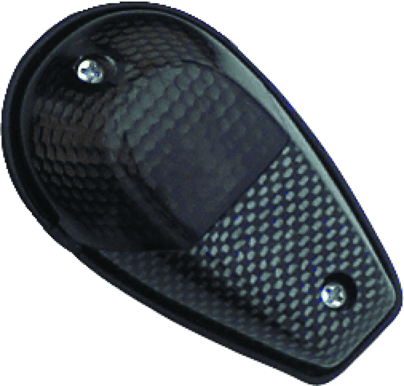 BikeMaster — Flush Mount, Clear Bulb, Smoke Lens, Carbon Housing