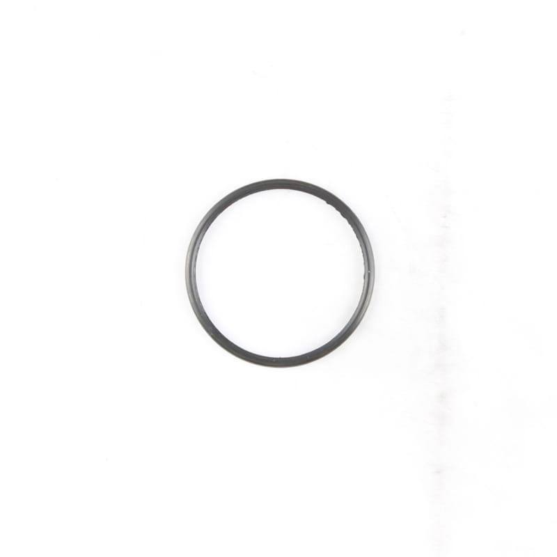 Cometic Gasket — Cometic 03-08 Dodge Cummins 5.9L ISB Common Rail Thermostat Seal
Coolant Gasket