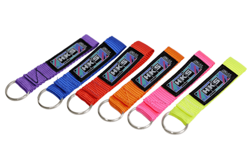 HKS — HKS KEYRING TRS PURPLE