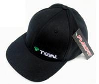 Tein — Tein Fitted Cap S-M