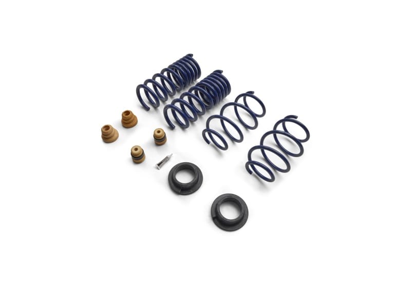 Ford Racing — Ford Racing 15-24 Mustang Street Lowering Spring Kit
Lowering Springs