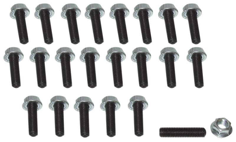 Moroso — Moroso Honda/Acura/Mazda Rotary/Dodge Neon/Toyota MR2 Oil Pan Stud Kit - 6mm - Steel - Set of 22