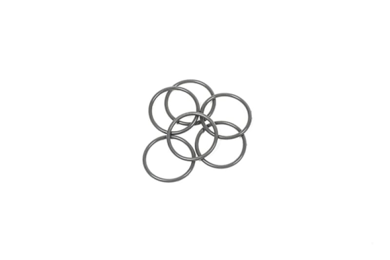 Radium Engineering — Radium Engineering O-Ring Service Kit - 25mm Injector Seat - Set of 6
ORING KIT