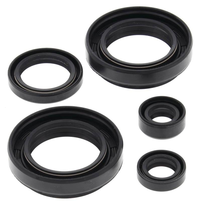 Vertex Pistons — Vertex Gaskets 03-04 Arctic Cat 400 4x4 w/MT Oil Seal Kit