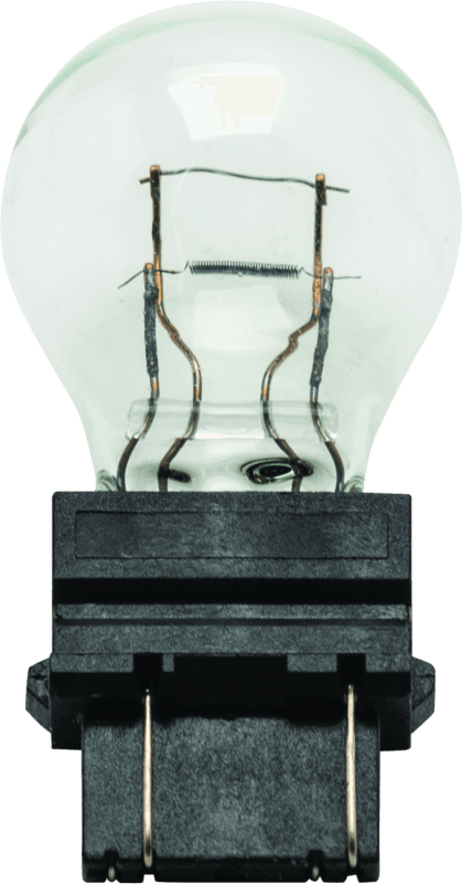 BikeMaster — BikeMaster Incandescent Bulb 3157