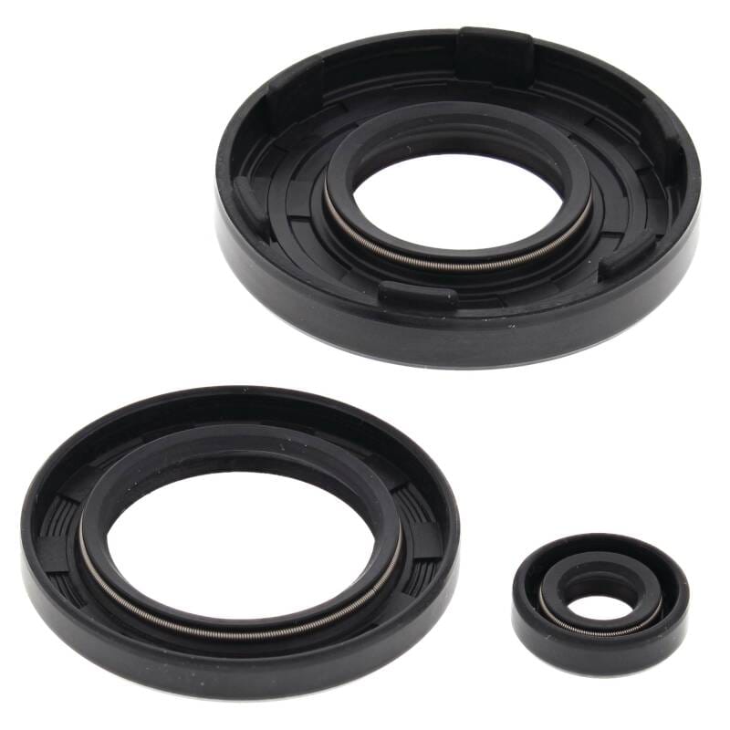 Vertex Pistons — Vertex Gaskets 91-93 Arctic Cat Cheetah Touring Oil Seal Kit