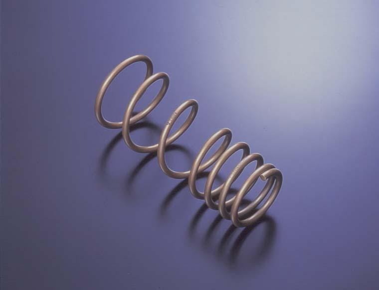 Tein — Tein 98-02 Accord 6cyl H Tech Springs