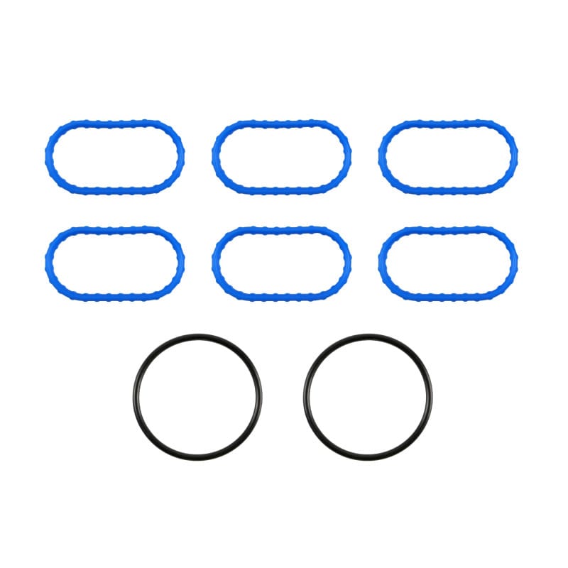 Fel-Pro — Fel-Pro Jaguar X-Type MS 96494 Fuel Injection Plenum Gasket Set