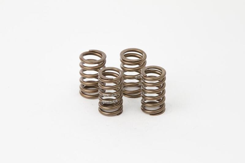 Hot Cams — Hot Cams Valve Spring Kit, Boxed, ea, 1