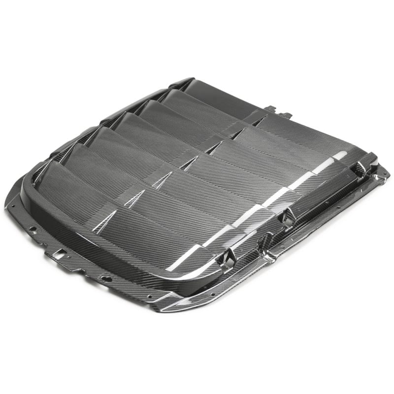 Ford Racing — Ford Racing 20-22 Mustang GT500 Carbon Fiber Hood Vent Kit
Hood Scoop