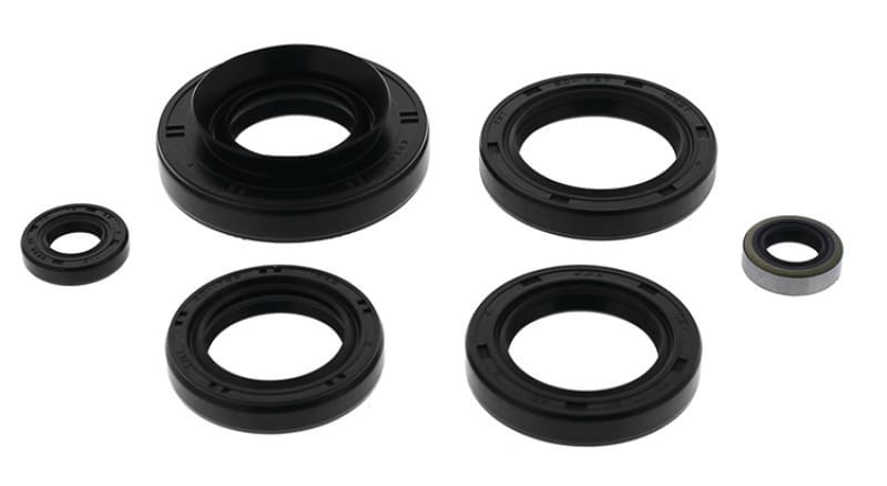 QuadBoss — QuadBoss Oil Seal Set