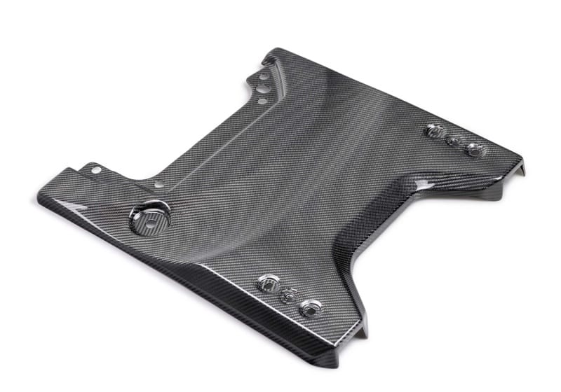 Ford Racing — Ford Racing 22-24 Bronco Raptor Carbon Fiver Tailgate Applique - Gloss