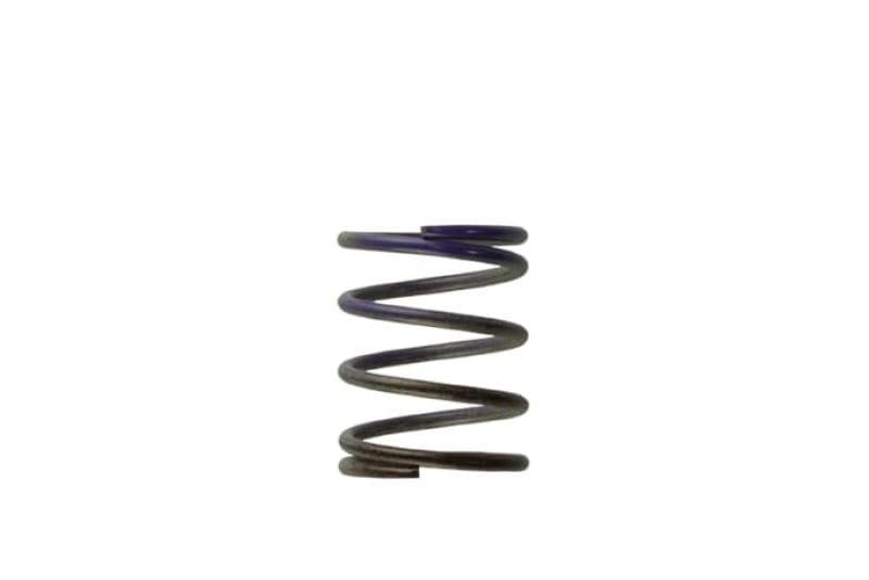 Turbosmart — Turbosmart WG40 7PSI Middle Spring Brown/Purple
Wastegate Spring