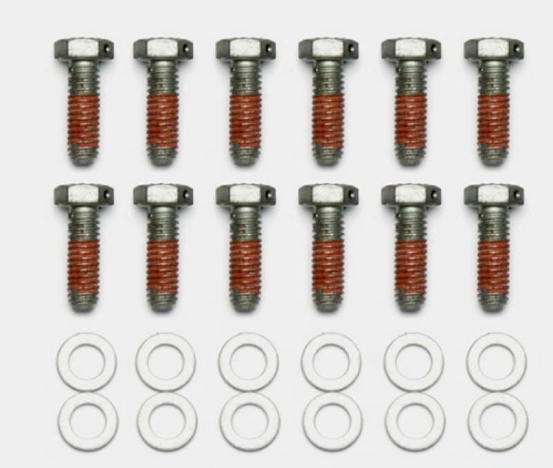 Wilwood — Wilwood Bolt Kit - 5/16-18 x 1.00 LG - 12 pk
BOLT KIT,ROTOR