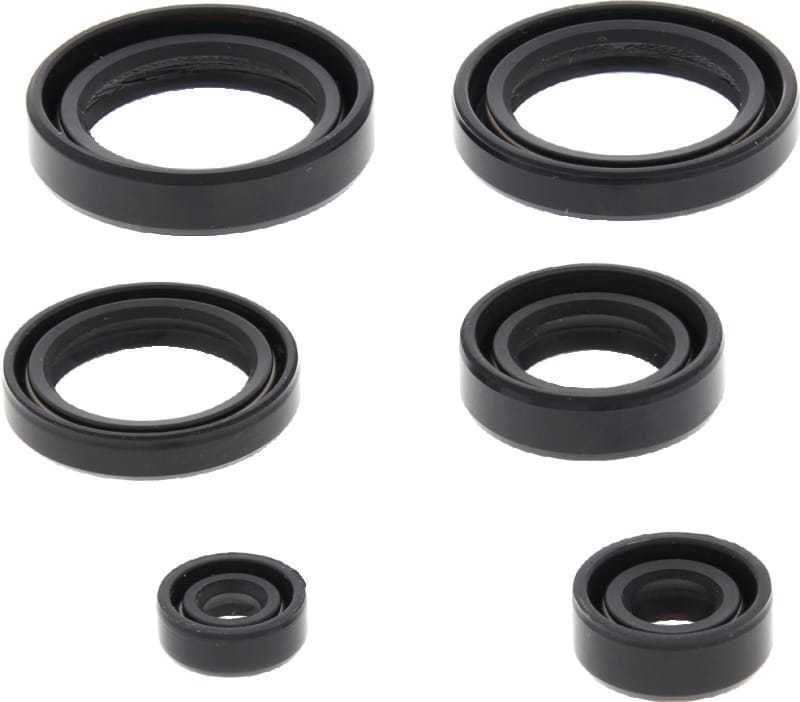 QuadBoss — QuadBoss Oil Seal Set