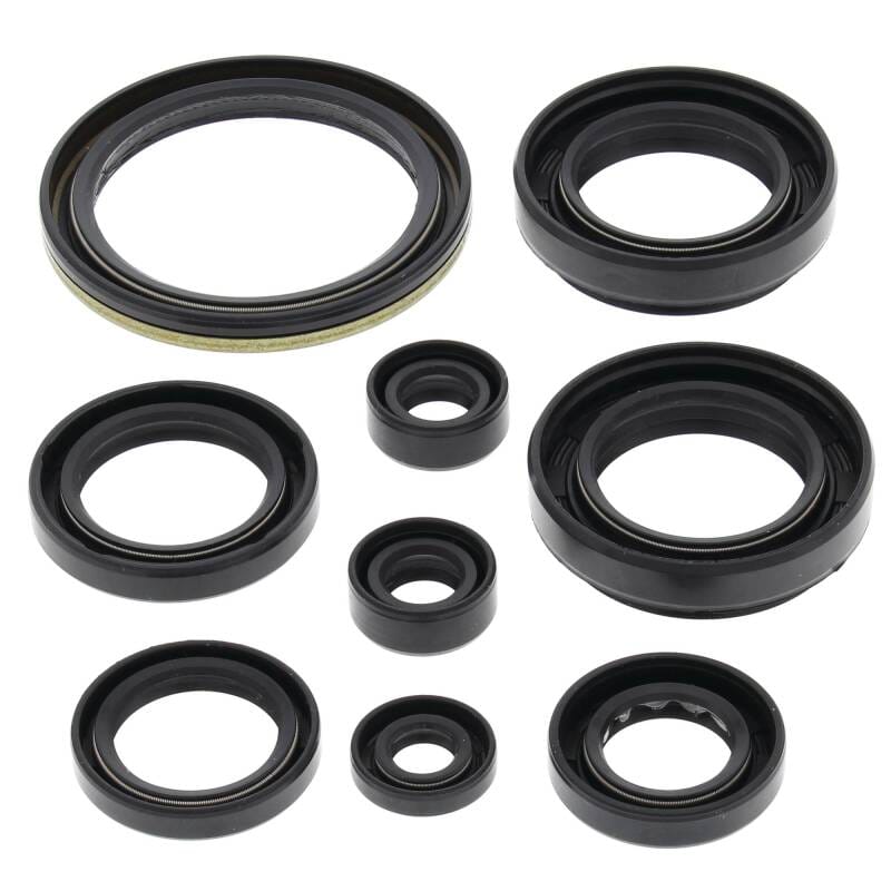 Vertex Pistons — Vertex Gaskets 00-02 Arctic Cat 500 4x4 w/AT Oil Seal Kit