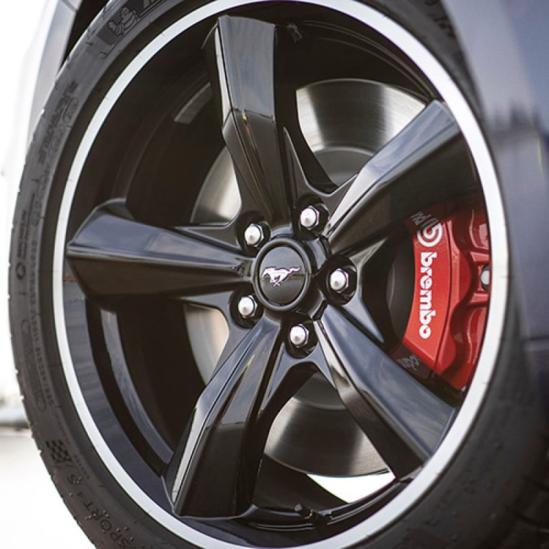 Ford Racing — Ford Racing 15-20 Ford Mustang Bullitt Brake Kit
BrkHydraLineKt
