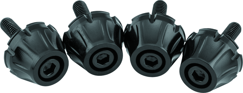 Kuryakyn — Kuryakyn Windshield Screws FLTR Black